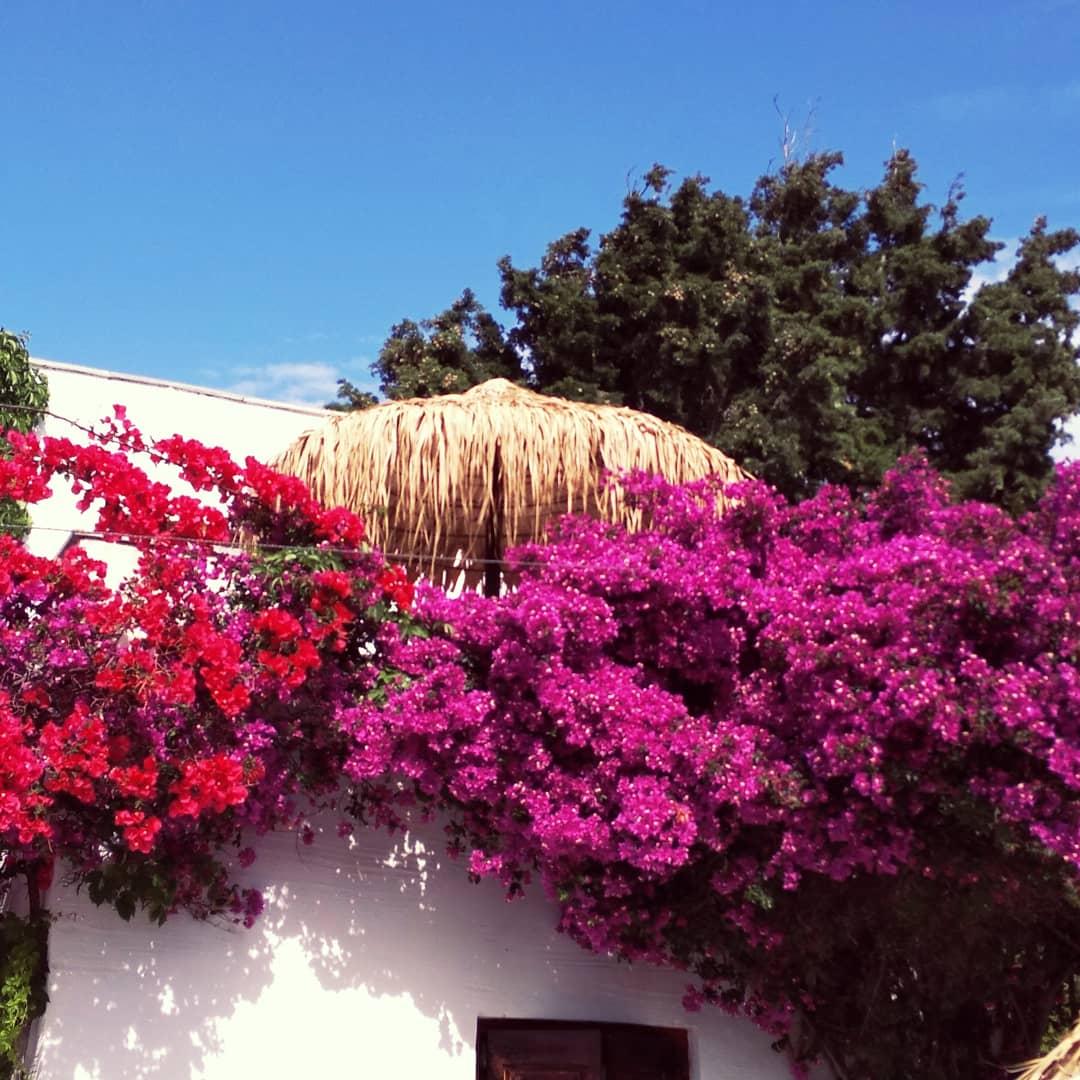Naxos Summerland Resort Кастраки Экстерьер фото