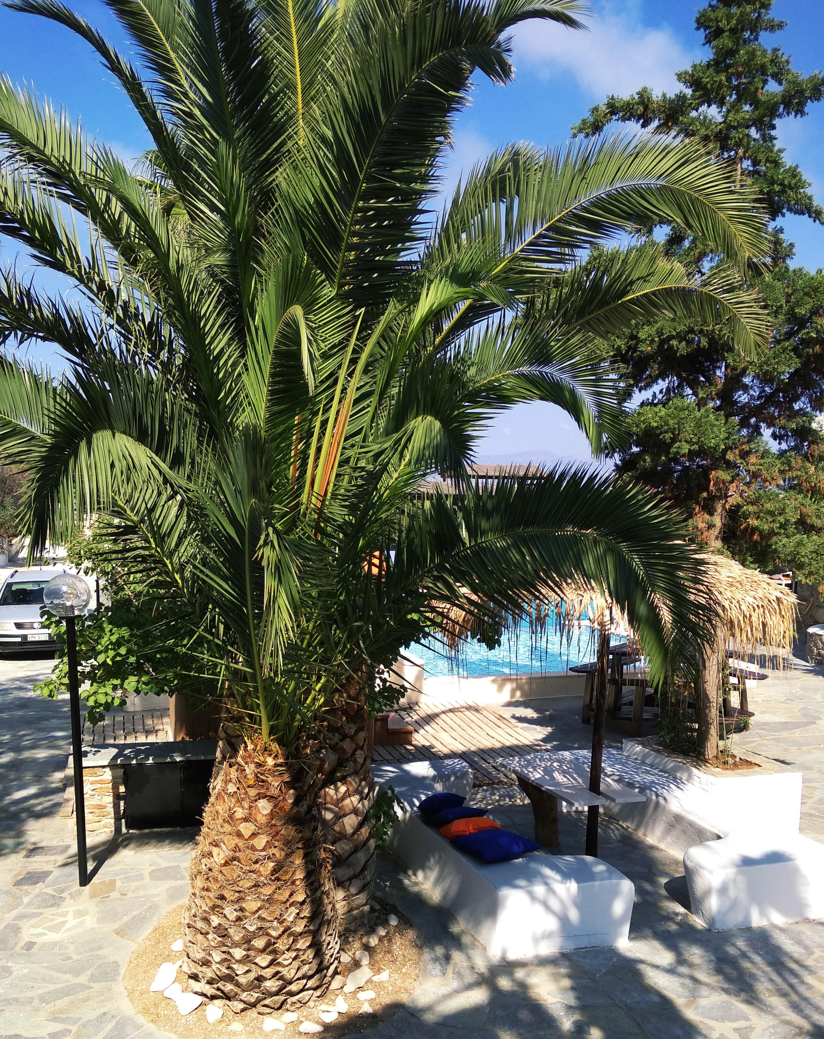 Naxos Summerland Resort Кастраки Экстерьер фото